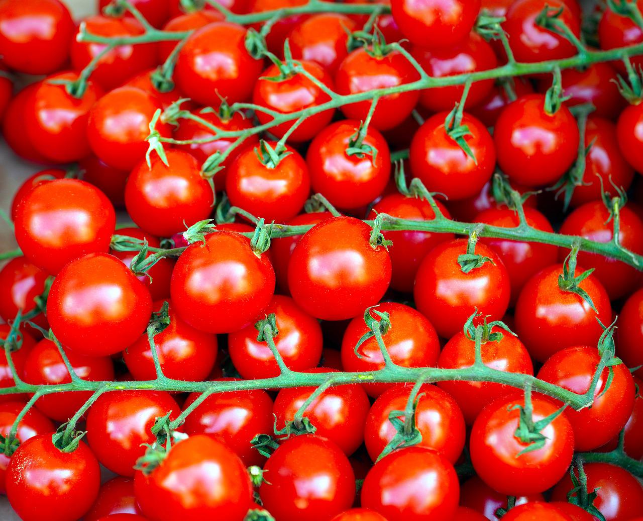 tomatoes, vegetables, food-6565238.jpg