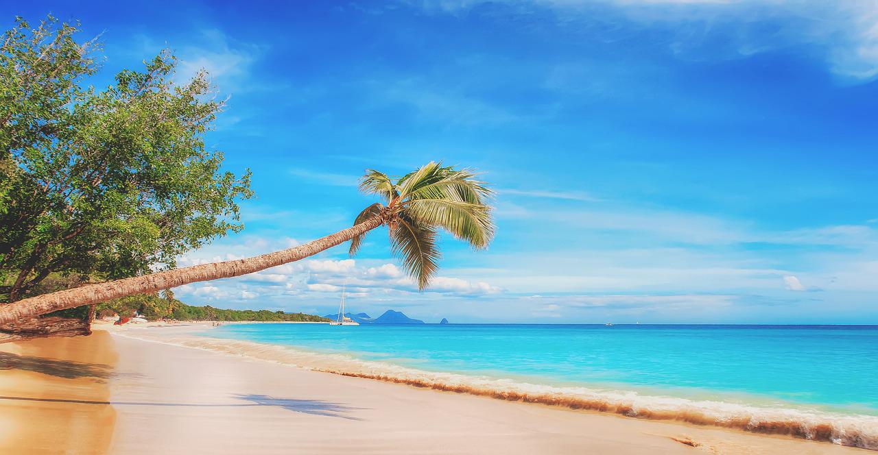 beach, the caribbean, paradise-2528635.jpg