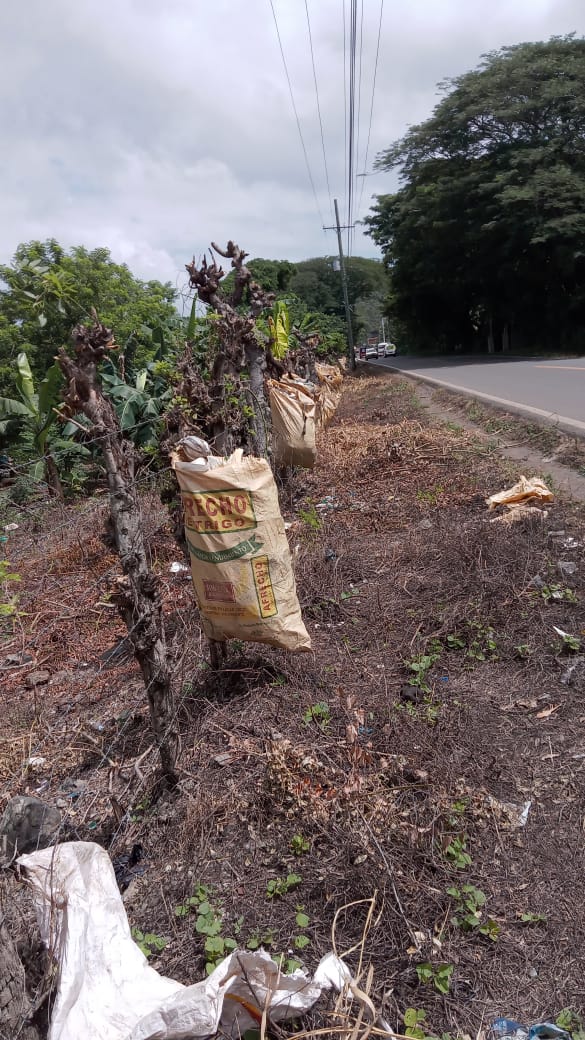 Pie de foto: La empresa Pollo Cibao recolectó desperdicios en la carretera Villa Mella-Cruce La Bomba, La Victoria, quizás por la fea imagen del entorno en que está una de sus granjas.