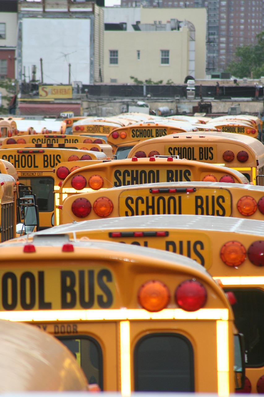 school bus, america, vehicles-600270.jpg